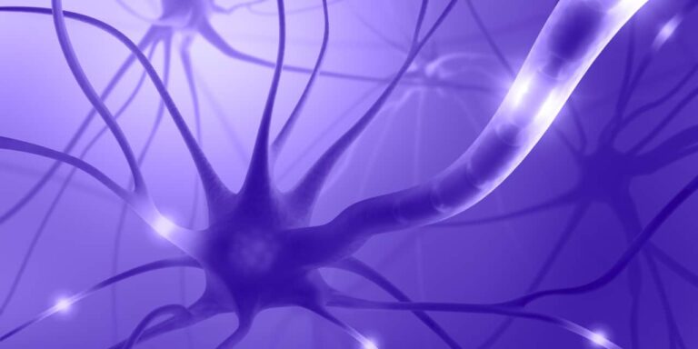Neuron 1 1