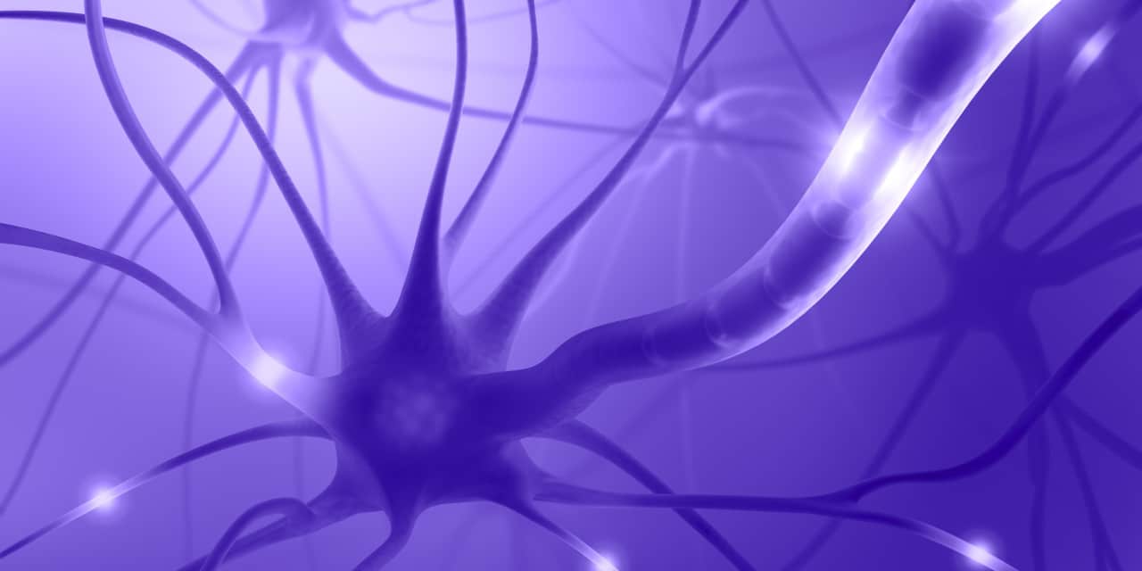 İlham Kaynağı Nöron Hücresi