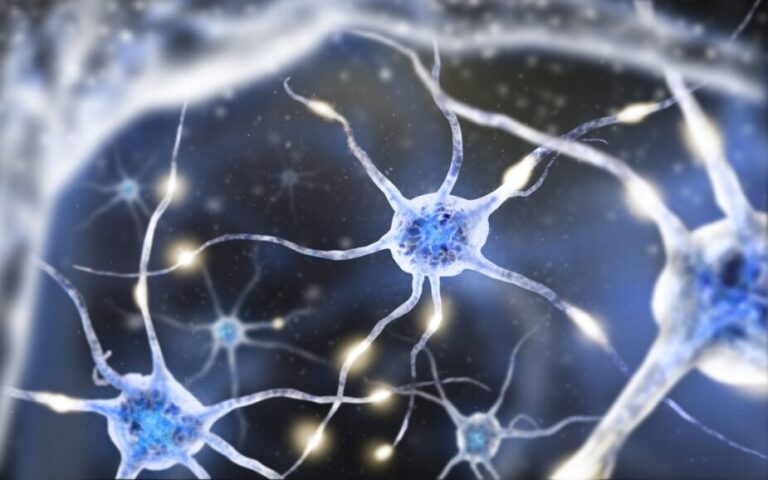 shutterstock 300094247 e1514135161280 1 e1638392849195 1