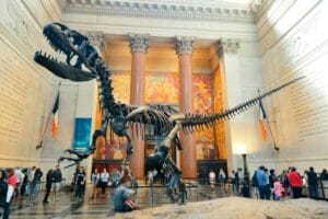 amnh 1 e1638394973141 1