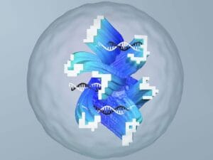 DNA 1 e1638439167446 1