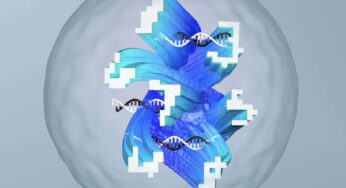 DNA ile Nasıl Yapay Sinir Ağı Yapılır?