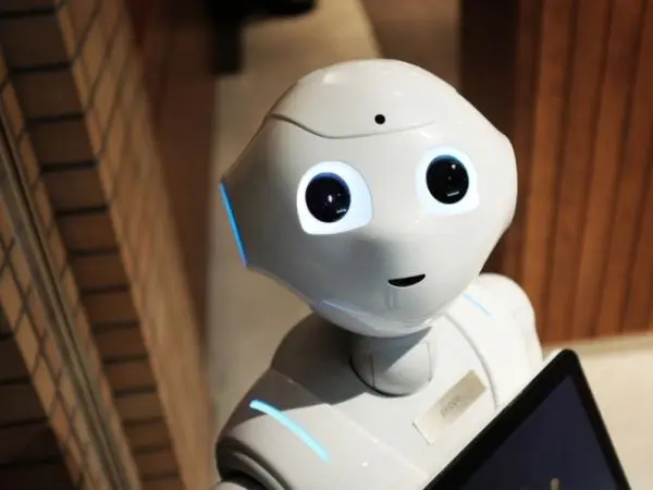 Robot Diyarı: Gelecek Yapay Zekalı Dünyada İşgücü Politikaları