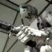 katil robot 1
