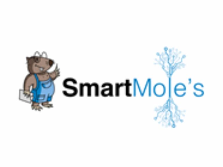 Girişimler 9 smart moles 3