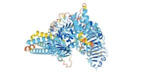 Protein 1