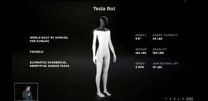 Tesla Bot 1
