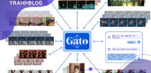 gato wp1 1