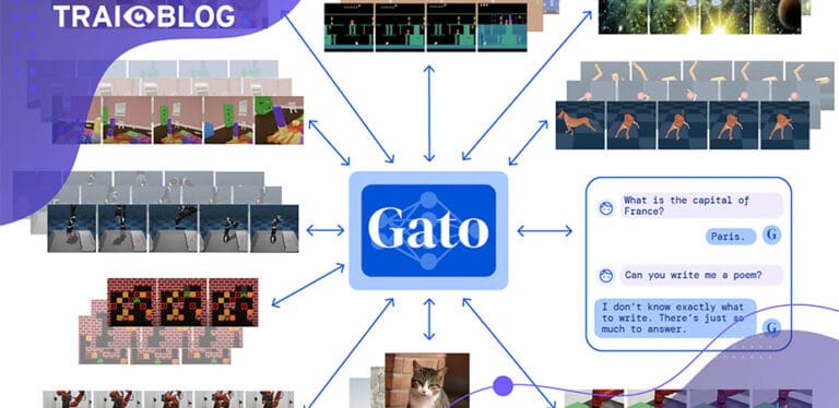 gato wp1 1