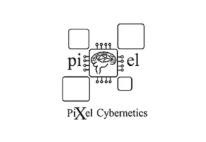 pixel cybernetics