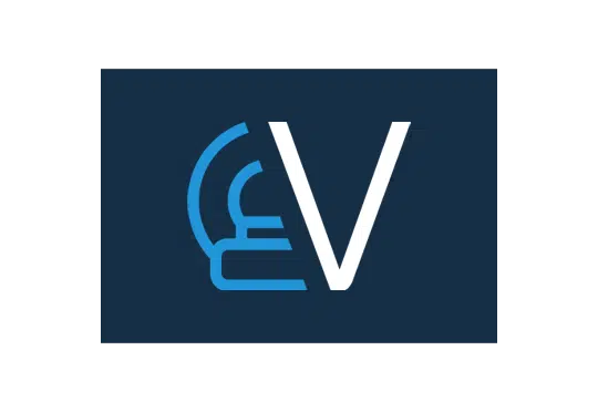Viseur