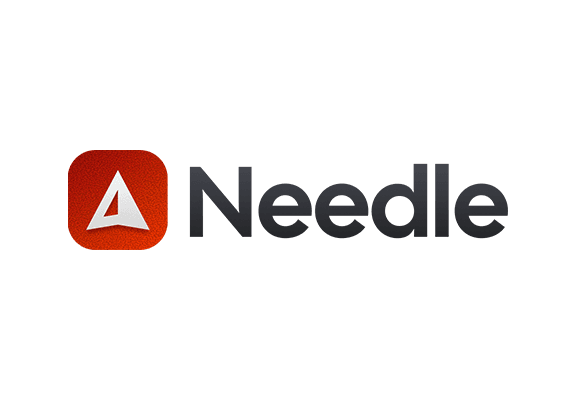Needle 1