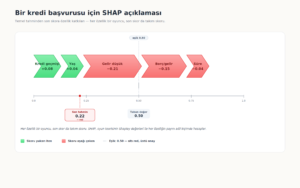 sekil3 shap aciklama